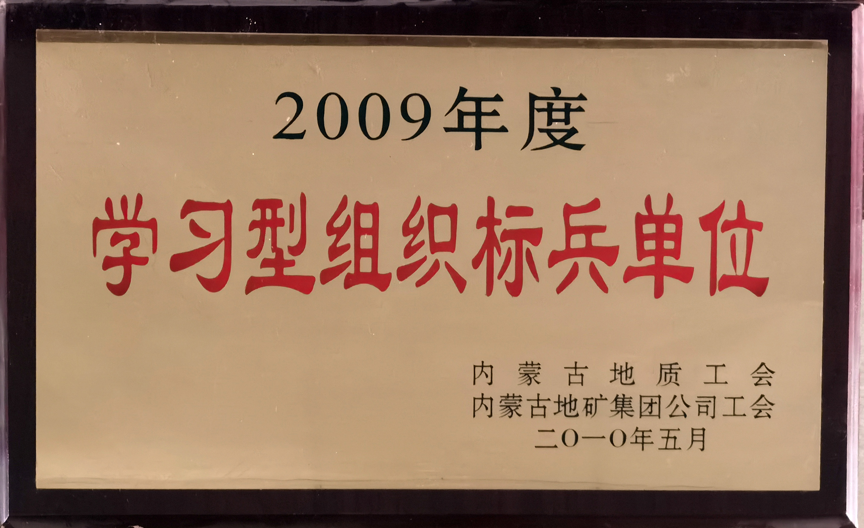 201003.2009年度學習型組織標兵單位.jpg